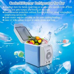 Cold and hot car refrigerator